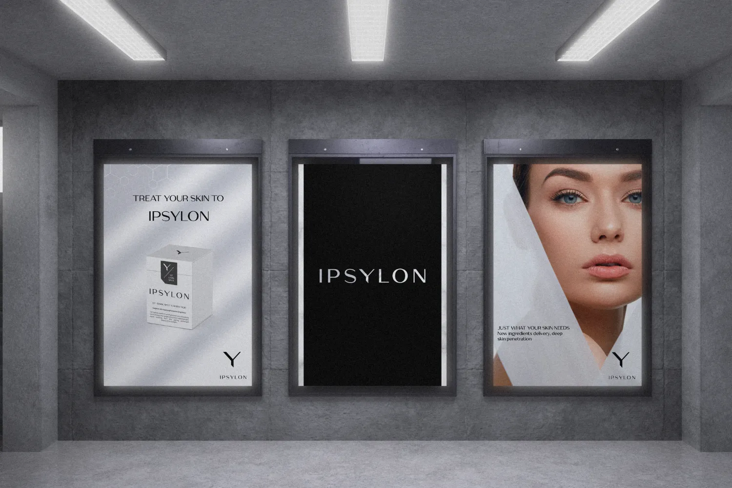 Proyecto 2 - Imagen 5